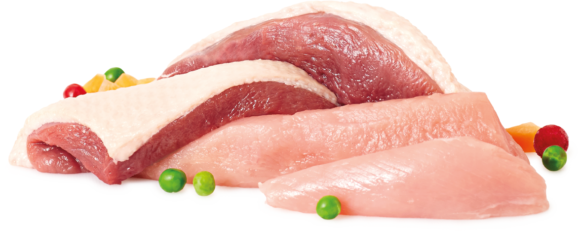 raw-duck-lean-turkey-r-o-r-premium-frozen-dog-food